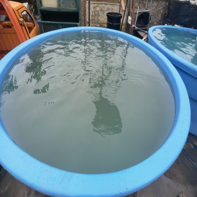قالب سفارشی 2 میلی متری تشکیل تانک سپتیک برای کاربرد